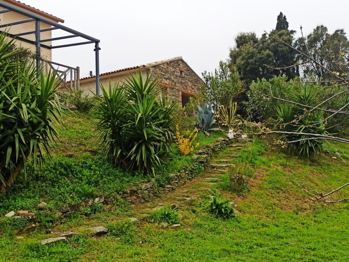 Casa Bonino Hotel Prunelli-di-Fiumorbo Exterior foto